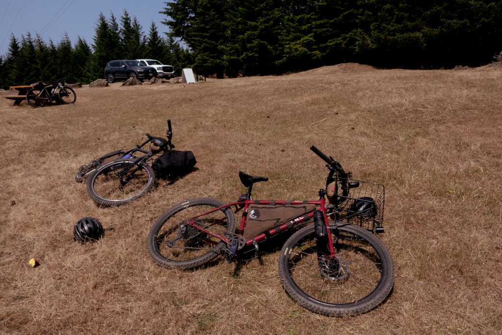 Two bikes rest against a field of dead grass. They are bike-packing bikes.