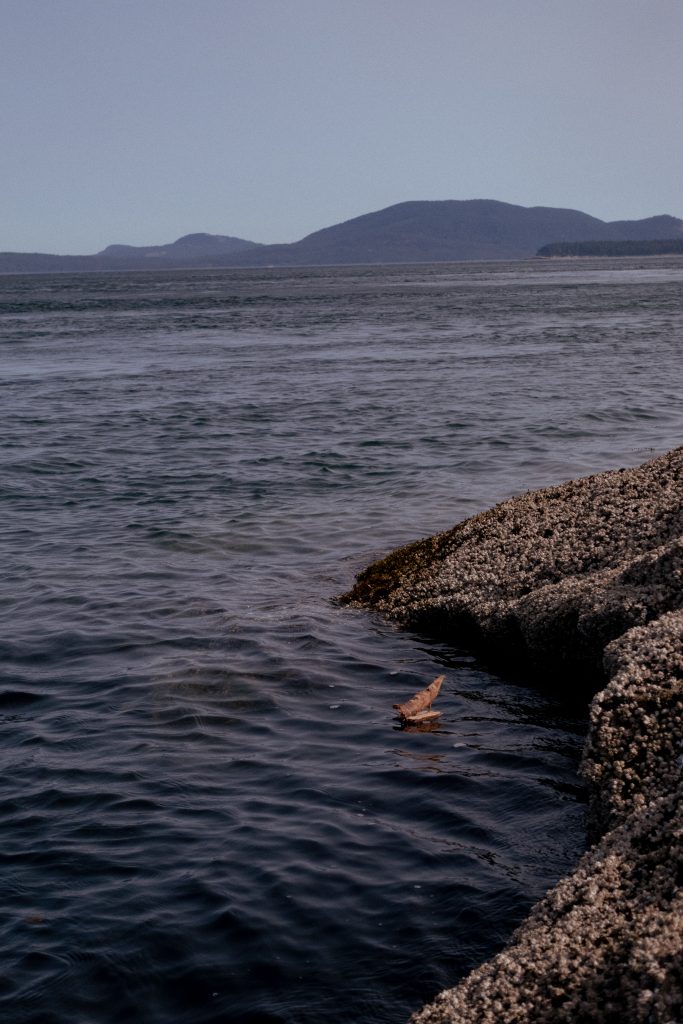 A small wooden boat toy sails on the sea by the ocean