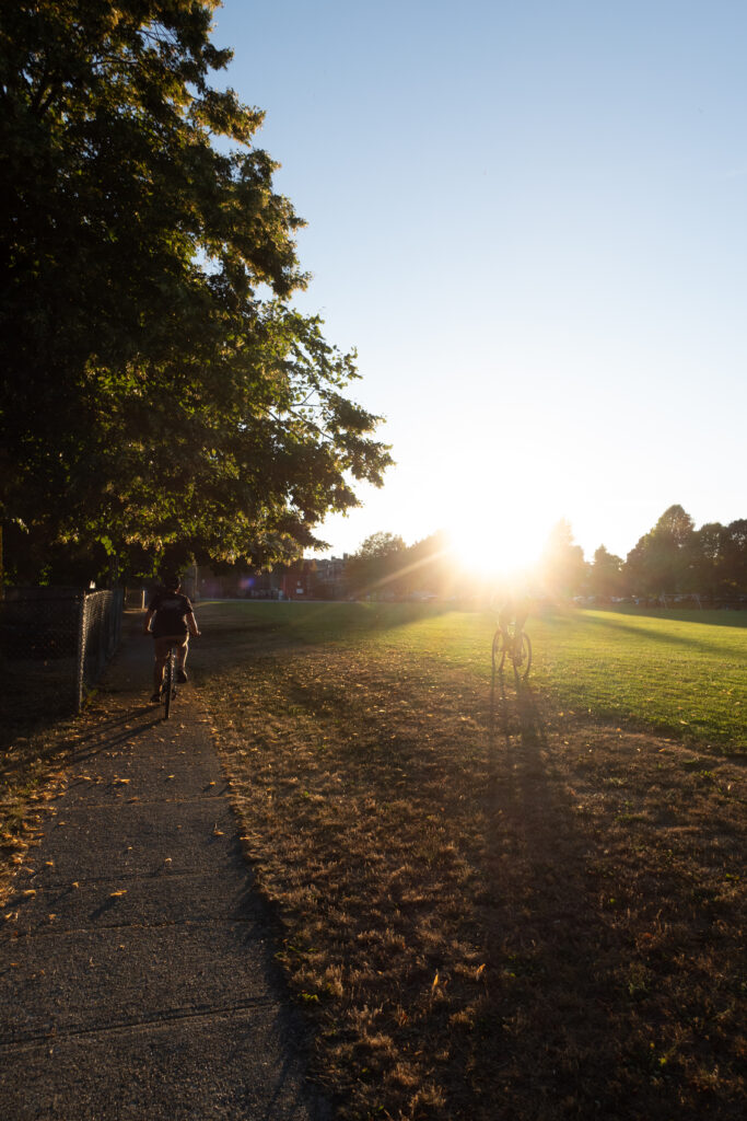 Two cyclists ride bikes in a park at sunset. The sun creates a beautiful silhouette.