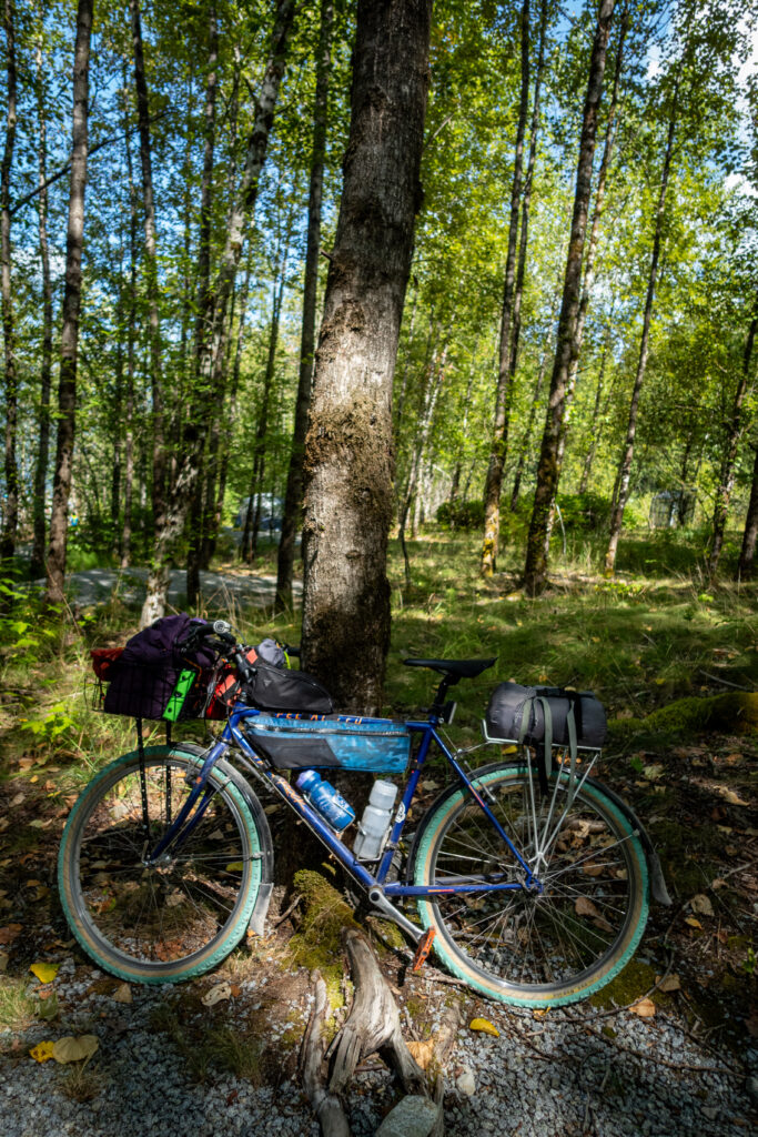 A specialized rockhopper bicycle leans against a tree with a bunch of camp gear included.