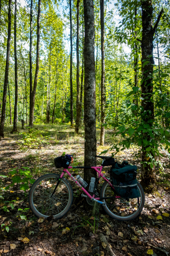 A Norco Bigfoot from the 90s leans against a tree.