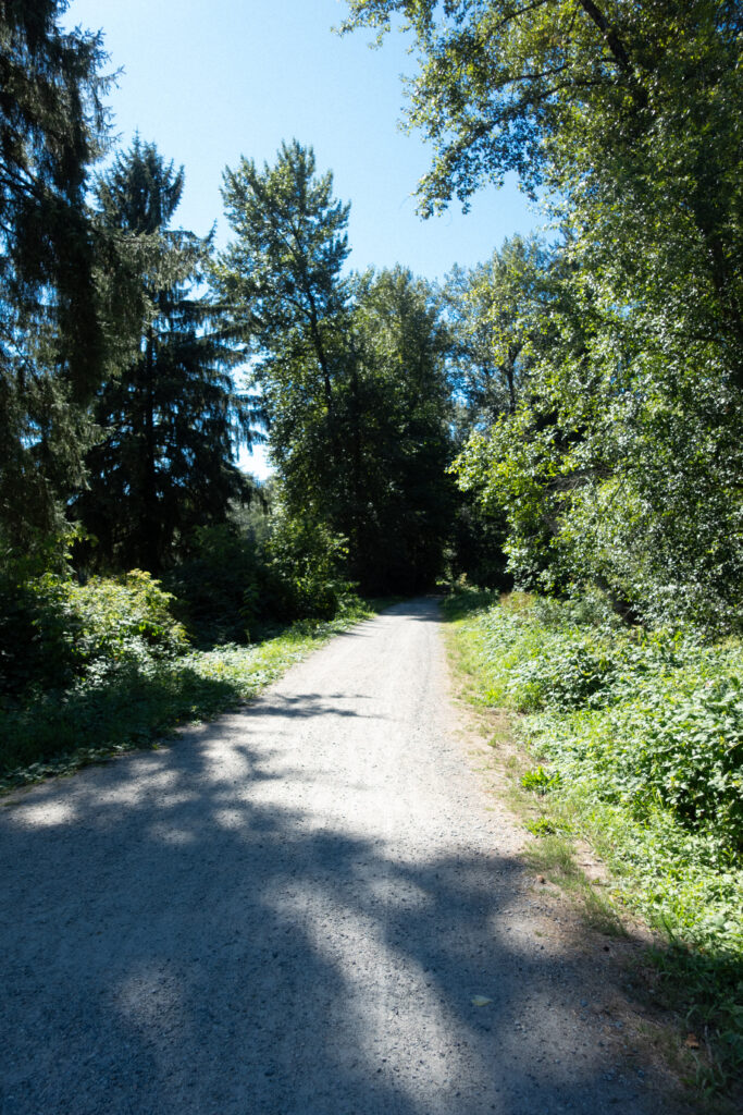 An empty forest service road is shown.